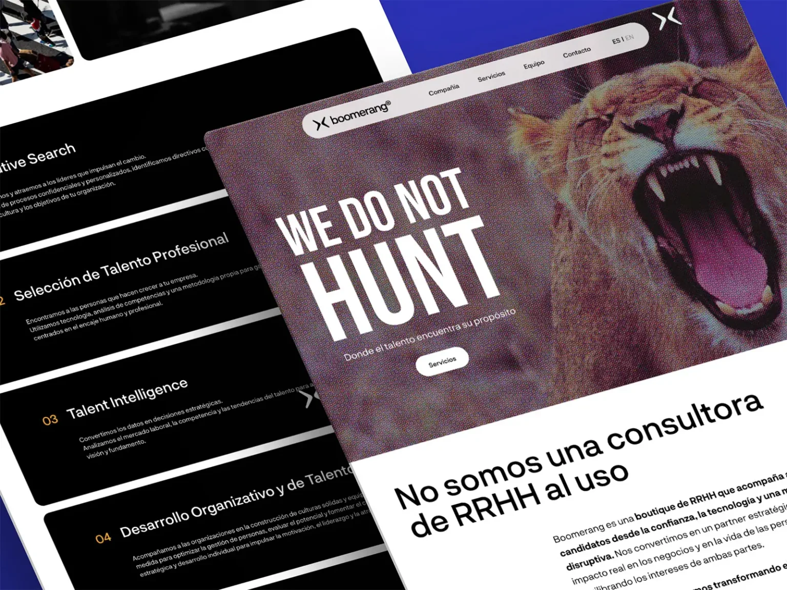 Mockup web Boomerang Talent